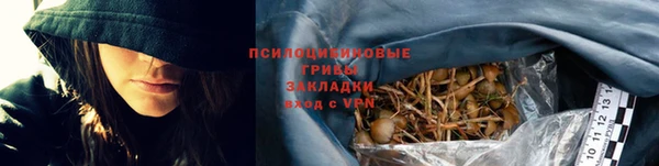 прущая мука Алзамай