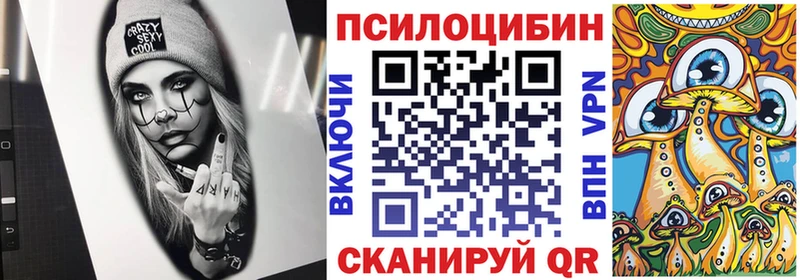 ОМГ ОМГ как зайти Сосенский Галлюциногенные грибы Psilocybe